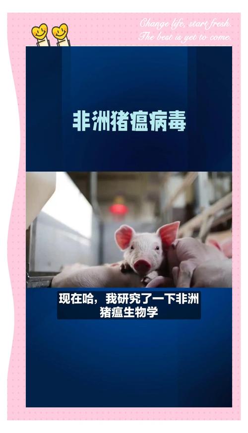 关于“正蓝旗疫情”你不知道的事-第10张图片 关于“正蓝旗疫情”你不知道的事-第10张图片