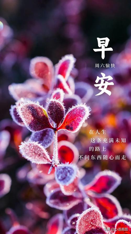 关于“方糖疫情查询”你不知道的事-第4张图片