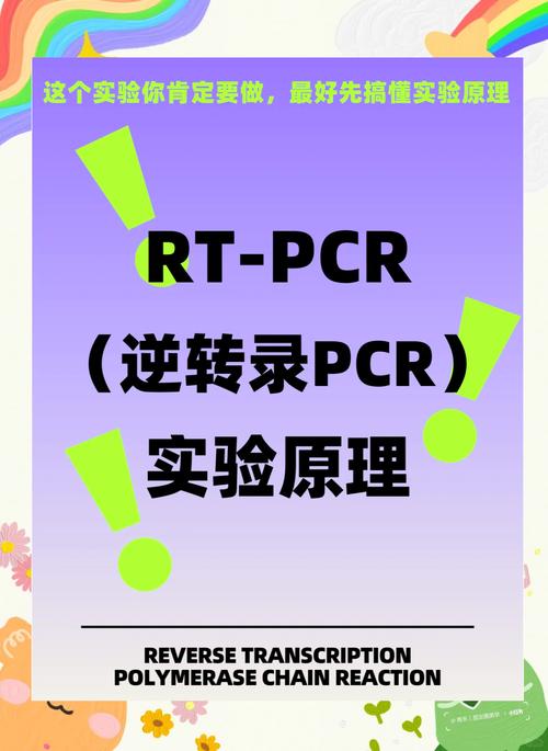 疫情再生数-疫情再次发生后的心得体会-第2张图片 疫情再生数-疫情再次发生后的心得体会-第2张图片