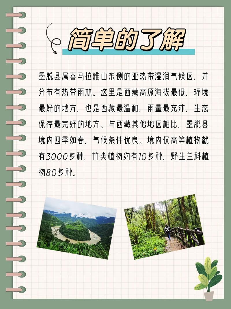 波密限行-波密有高速公路吗-第2张图片 波密限行-波密有高速公路吗-第2张图片
