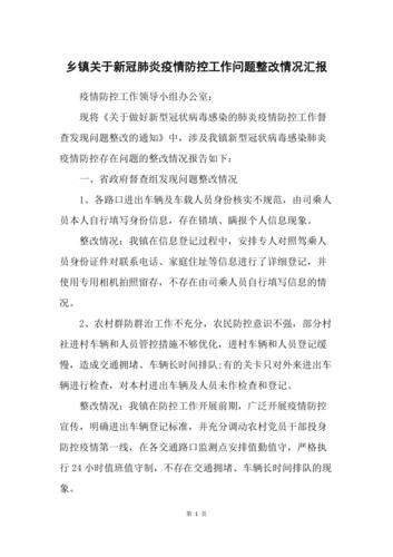 关于“新冠疫情中央疫情督查组”你不知道的事-第4张图片