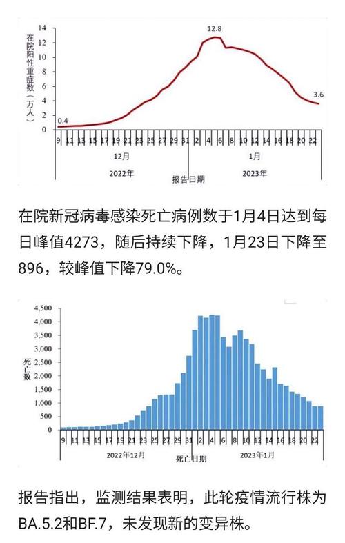 【国内疫情总数/国内疫情统计汇总】-第8张图片