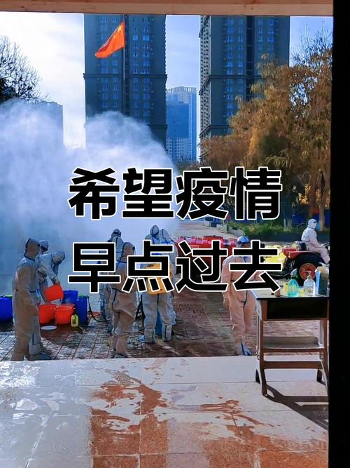 关于“随疫情逐步”你不知道的事-第4张图片