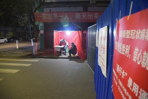 疫情出门散步-疫情出门的句子说说或心情-第5张图片 疫情出门散步-疫情出门的句子说说或心情-第5张图片