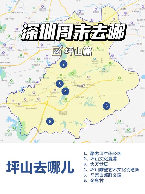 平湖限行摄像头-平湖限行区域-第5张图片