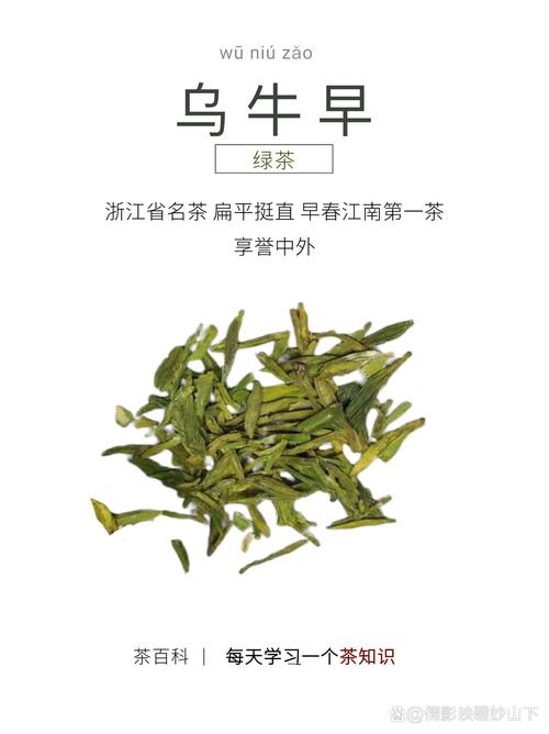 关于“永嘉乌牛疫情”你不知道的事-第5张图片 关于“永嘉乌牛疫情”你不知道的事-第5张图片