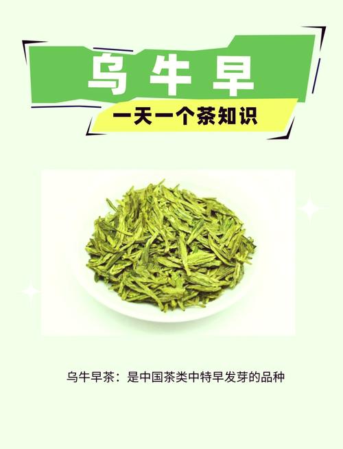 关于“永嘉乌牛疫情”你不知道的事-第6张图片 关于“永嘉乌牛疫情”你不知道的事-第6张图片