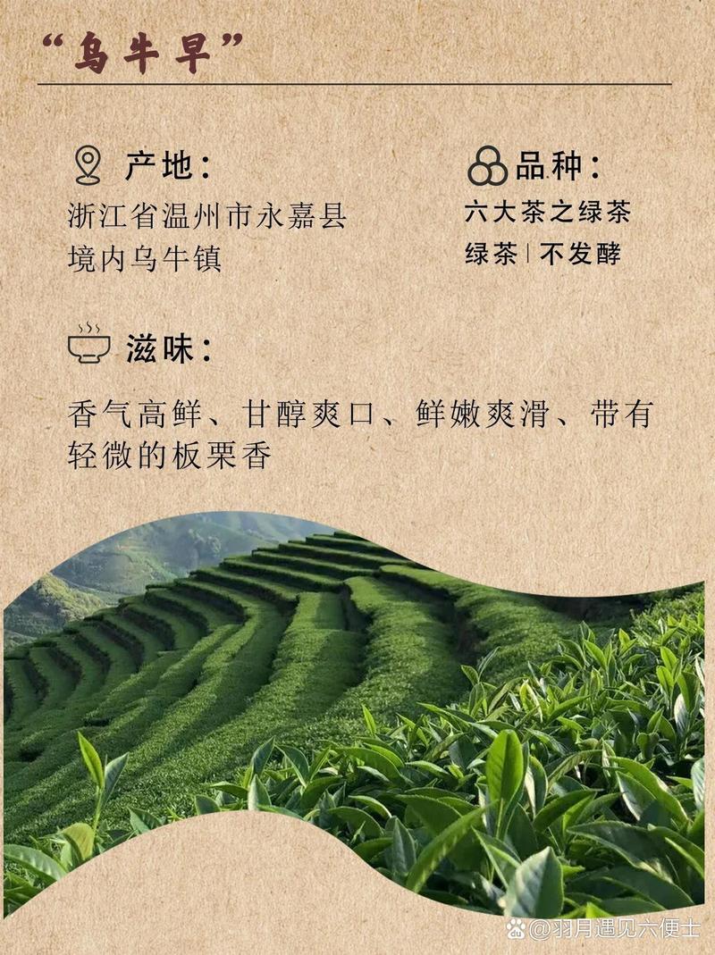 关于“永嘉乌牛疫情”你不知道的事-第9张图片 关于“永嘉乌牛疫情”你不知道的事-第9张图片