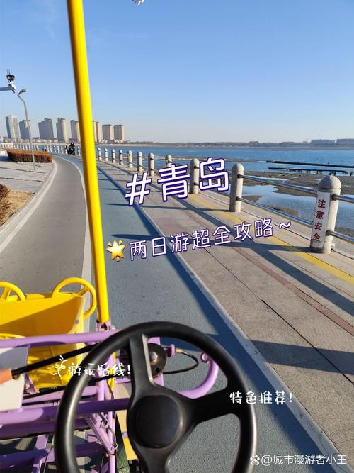 评论青岛疫情-评论青岛疫情的文章-第8张图片
