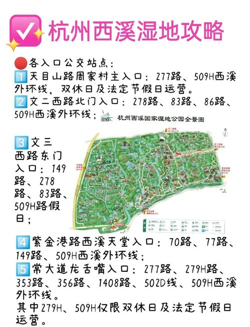 杭州单号限行/杭州单号限行怎么处罚-第7张图片