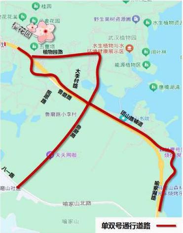 武汉哪些地方限号，武汉市哪些地段限行-第2张图片