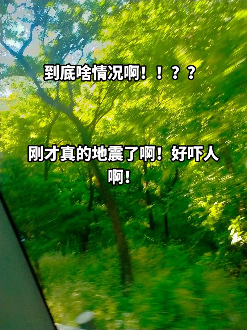 【刚刚哪地震/刚才那里地震】