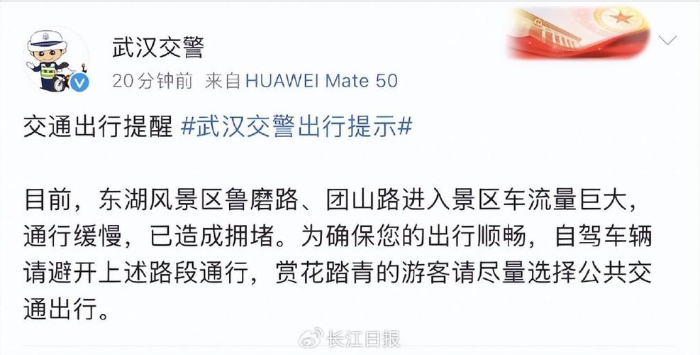 【武汉东湖单双号限行/武汉东湖单双号限行 必须被罚款吗】-第2张图片