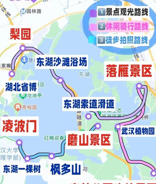 【武汉东湖单双号限行/武汉东湖单双号限行 必须被罚款吗】-第9张图片
