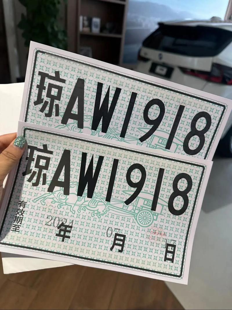 临时牌照限号么-临时牌照限号可以走吗-第4张图片