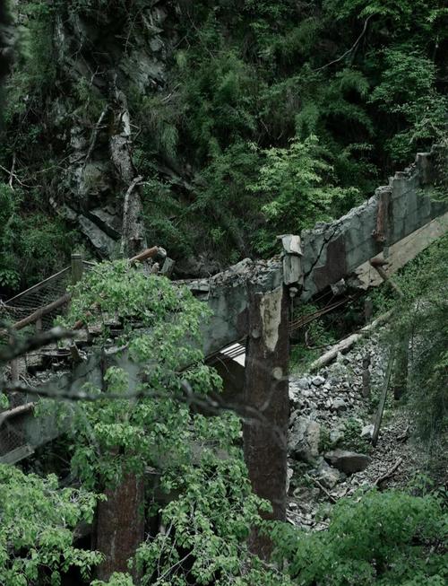 九寨沟地震多少级,九寨沟地震烈度-第3张图片 九寨沟地震多少级,九寨沟地震烈度-第3张图片