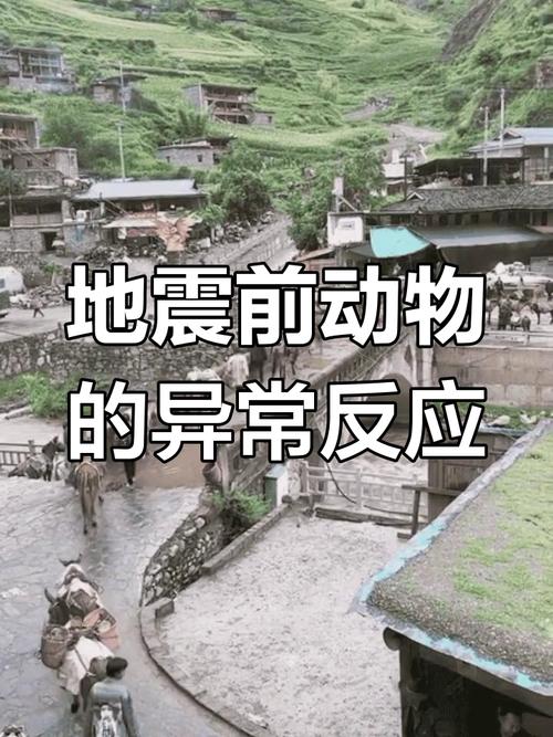 唐山地震前,唐山地震前大旱三年-第3张图片 唐山地震前,唐山地震前大旱三年-第3张图片