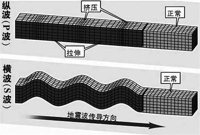 【地震先横波还是纵波/地震先到达的是横波还是纵波】