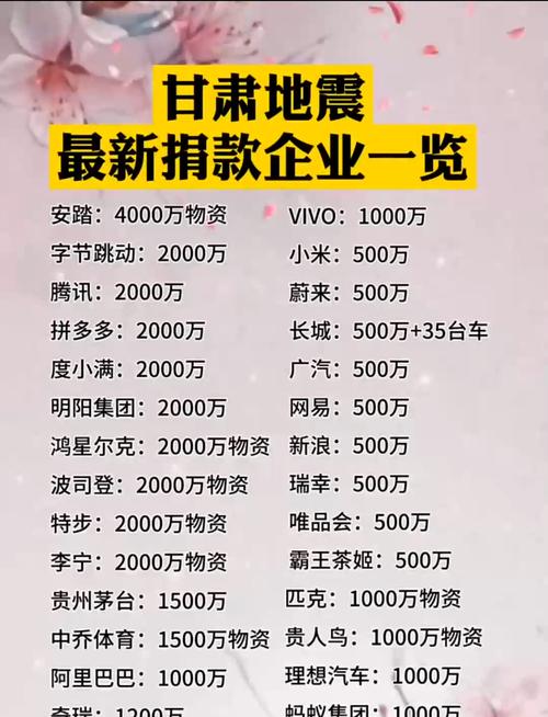 关于“甘肃地震捐款”你不知道的事-第6张图片