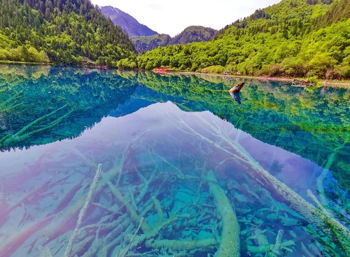 九寨沟地震后/九寨沟地震后什么时候开放-第4张图片 九寨沟地震后/九寨沟地震后什么时候开放-第4张图片