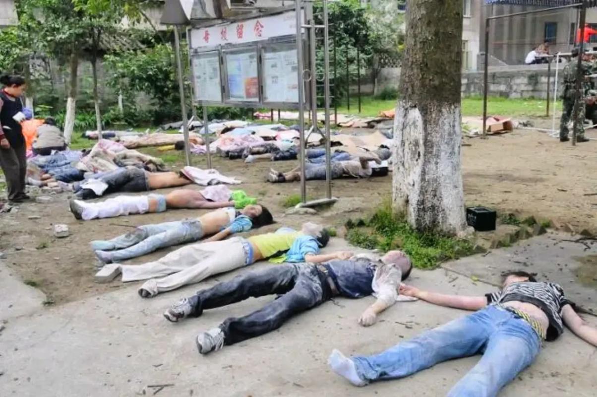 四川地震死了多少人,四川地震遇难人数-第4张图片 四川地震死了多少人,四川地震遇难人数-第4张图片
