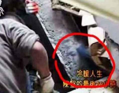 地震灵异事件，地震中有灵异现象发生吗-第3张图片