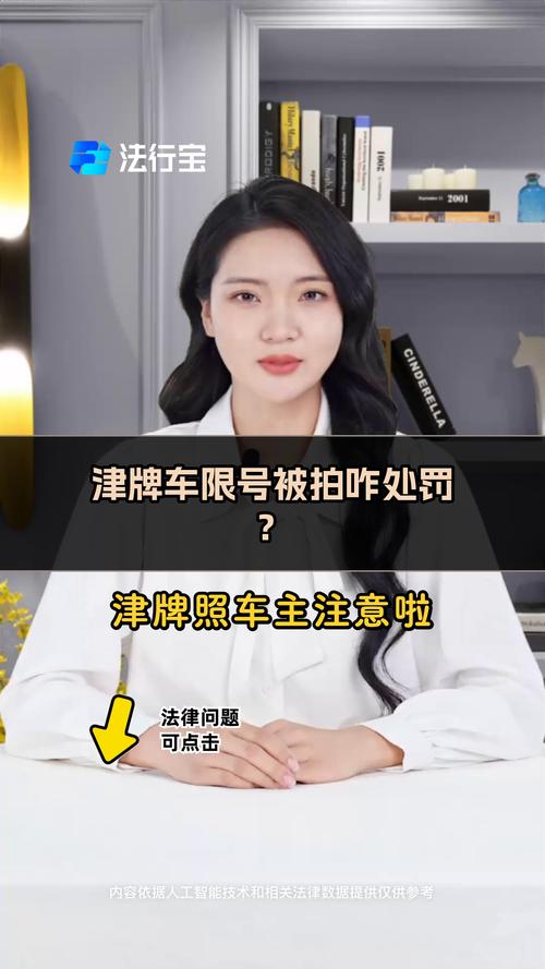 北京限号被拍怎么处罚-北京限号被拍怎么办-第4张图片 北京限号被拍怎么处罚-北京限号被拍怎么办-第4张图片