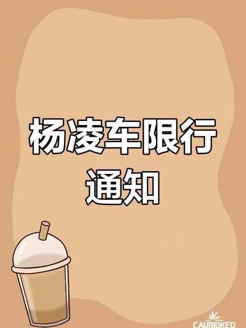 杨凌今天限号吗/杨凌今天机动车限号是几-第6张图片 杨凌今天限号吗/杨凌今天机动车限号是几-第6张图片