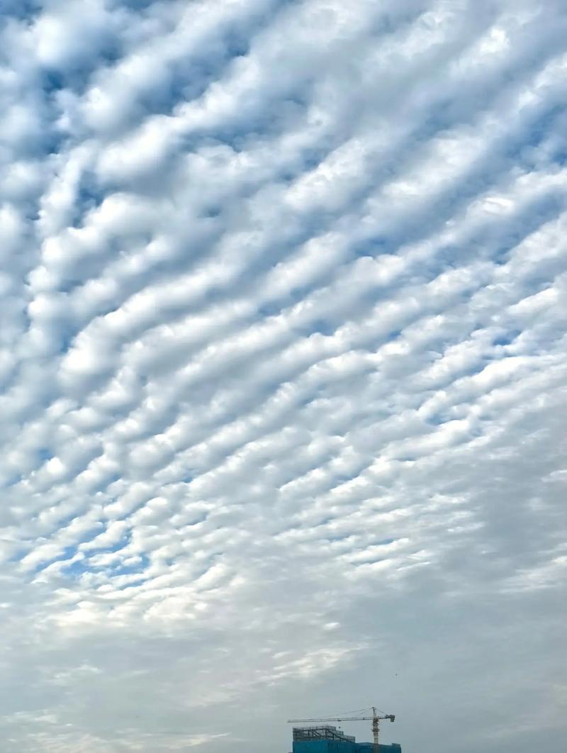 天津地震云/天津地震云图片-第3张图片 天津地震云/天津地震云图片-第3张图片