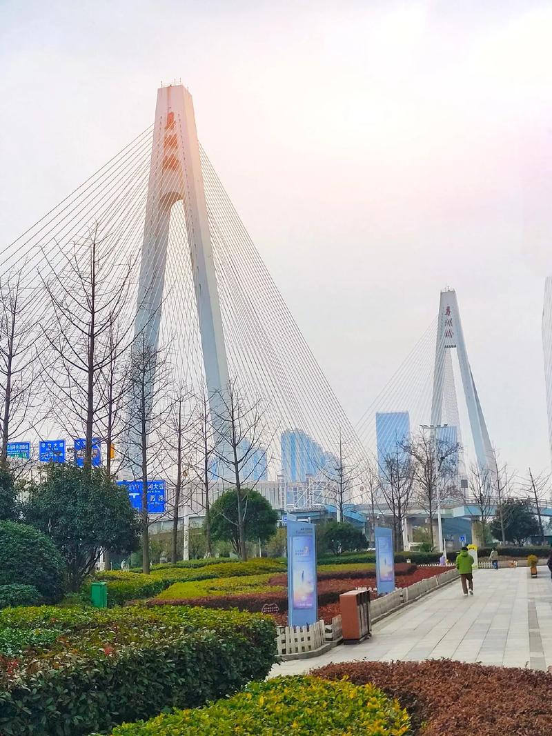月湖桥限号吗/月湖桥分不分单双号限行