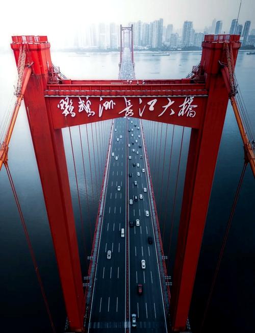 【武汉鹦鹉洲大桥限号吗/武汉鹦鹉洲长江大桥限行规定】-第5张图片 【武汉鹦鹉洲大桥限号吗/武汉鹦鹉洲长江大桥限行规定】-第5张图片