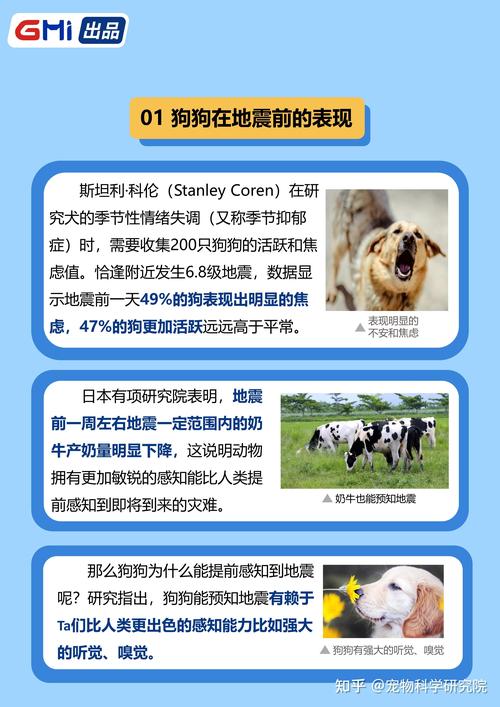 【怎样预知地震/预测地震先兆的方法】-第9张图片