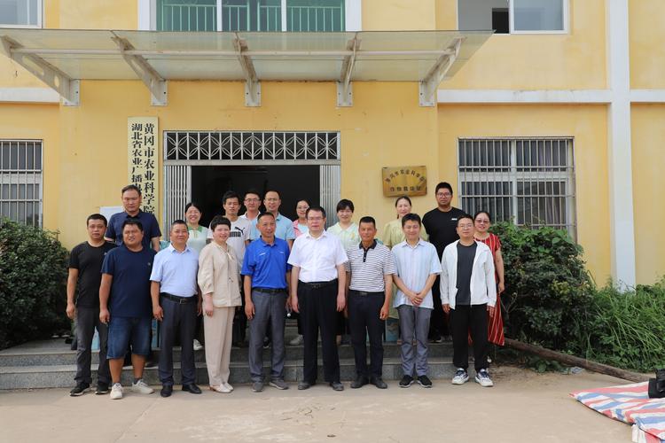 关于“湖北黄冈地震”你不知道的事-第2张图片 关于“湖北黄冈地震”你不知道的事-第2张图片