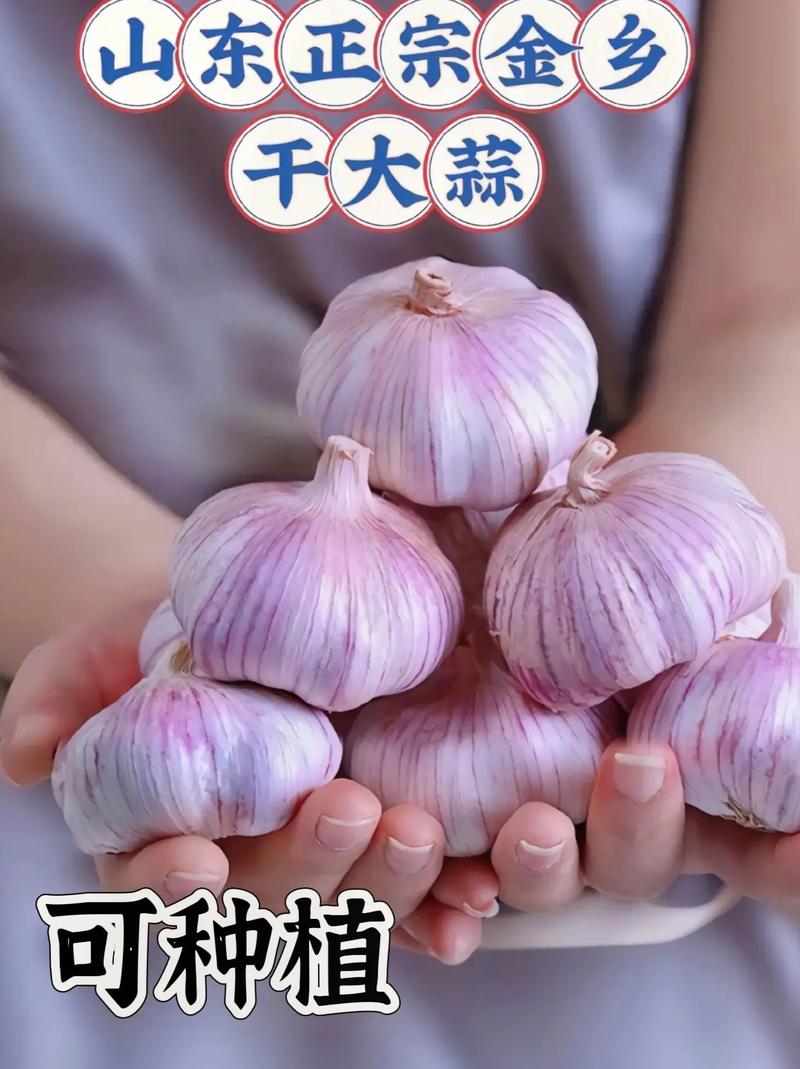 长清发生地震-长清发生地震最新消息-第5张图片