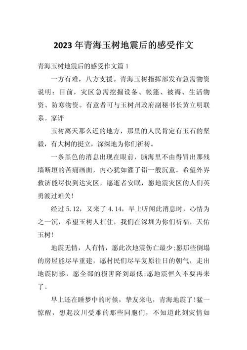 青海玉树大地震/青海玉树大地震最新消息-第8张图片 青海玉树大地震/青海玉树大地震最新消息-第8张图片