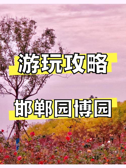 峰峰矿区限号-峰峰矿区限号吗-第4张图片