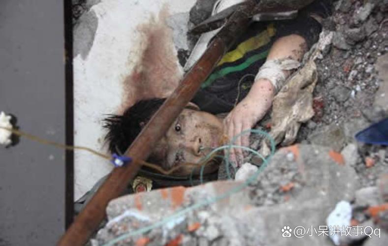 骂汶川地震,汶川地震骂人女孩现状-第2张图片 骂汶川地震,汶川地震骂人女孩现状-第2张图片