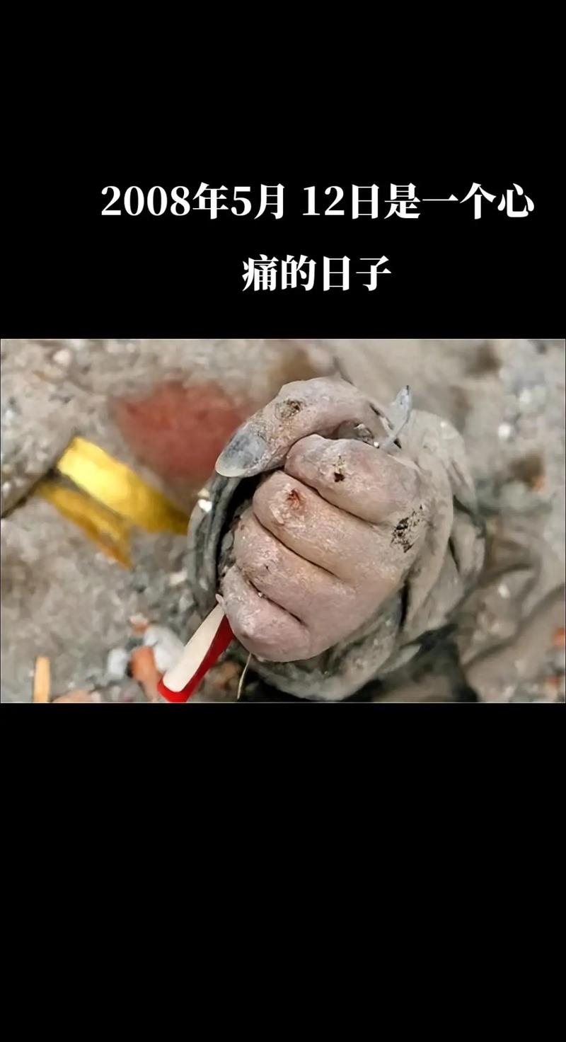 骂汶川地震,汶川地震骂人女孩现状-第5张图片 骂汶川地震,汶川地震骂人女孩现状-第5张图片