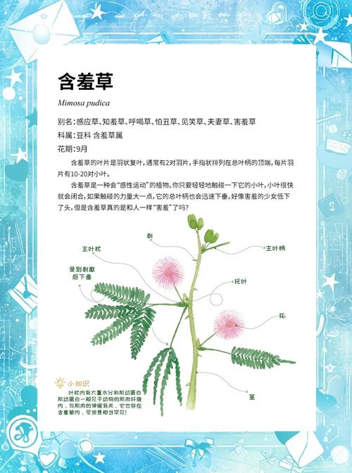含羞草预测地震/含羞草预测地震视频