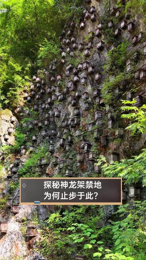 神农架地震-神农架地震记录-第4张图片 神农架地震-神农架地震记录-第4张图片