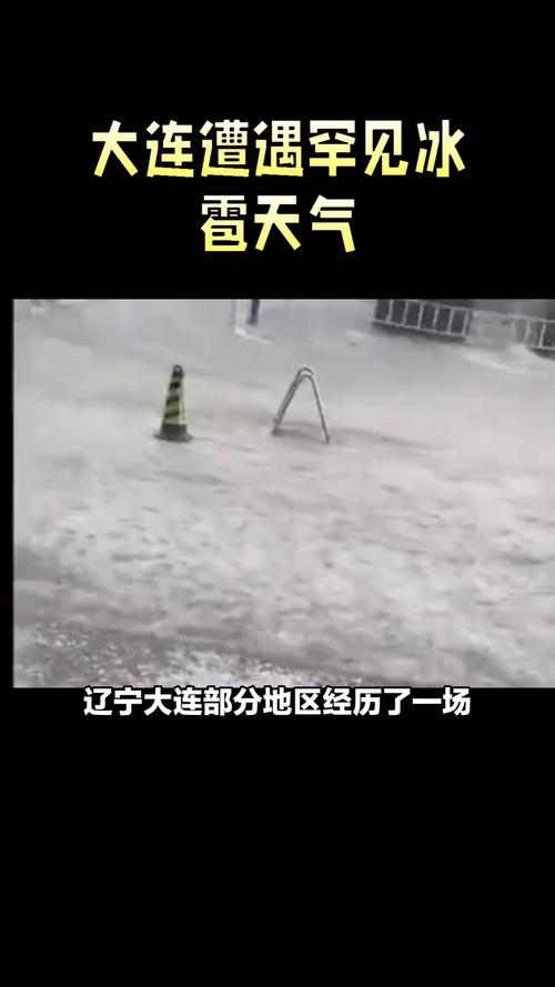 大连地震最新消息/大连地震了吗 昨天-第3张图片 大连地震最新消息/大连地震了吗 昨天-第3张图片