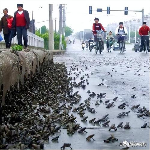 【唐山大地震前兆/唐山大地震前兆还原】-第9张图片 【唐山大地震前兆/唐山大地震前兆还原】-第9张图片