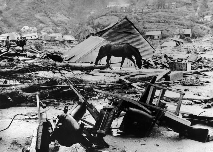 1960年智利地震-1960年智利地震纪录片-第5张图片 1960年智利地震-1960年智利地震纪录片-第5张图片