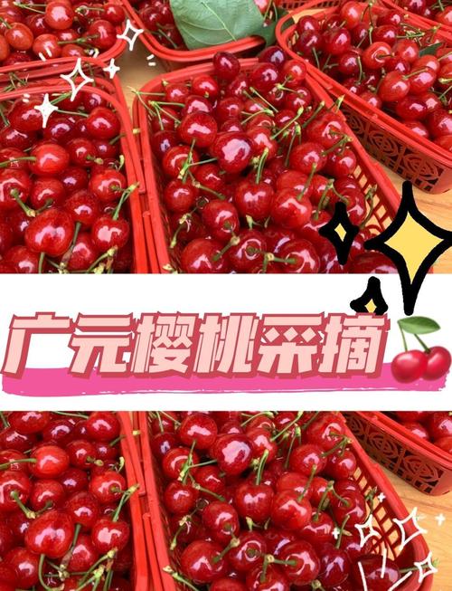 【钟楼地震遗址广场/512地震钟楼】-第5张图片 【钟楼地震遗址广场/512地震钟楼】-第5张图片