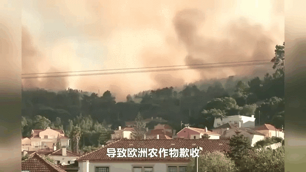 葡萄牙地震/葡萄牙地震发生在哪一年-第6张图片 葡萄牙地震/葡萄牙地震发生在哪一年-第6张图片