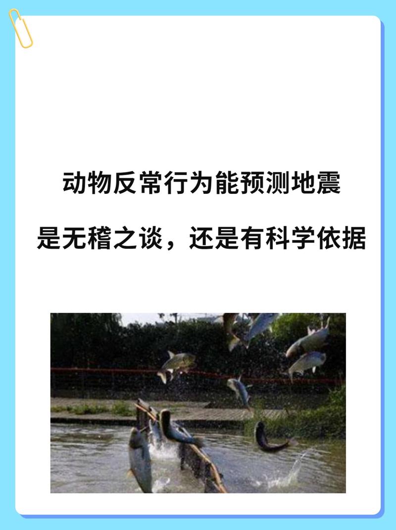 近期地震预测-近期地震预测最新