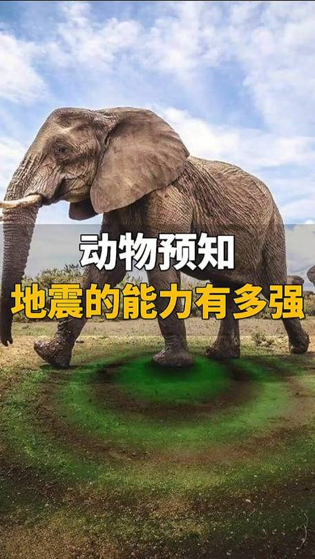 近期地震预测-近期地震预测最新-第3张图片 近期地震预测-近期地震预测最新-第3张图片