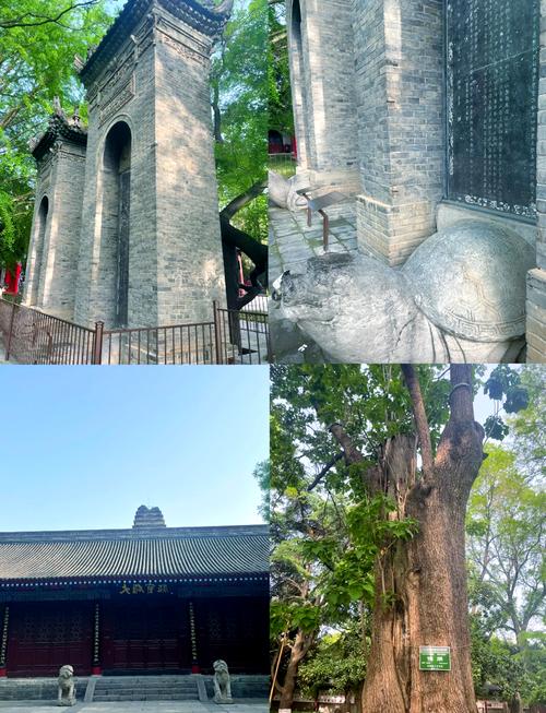 小雁塔地震/小雁塔地震开裂视频-第4张图片