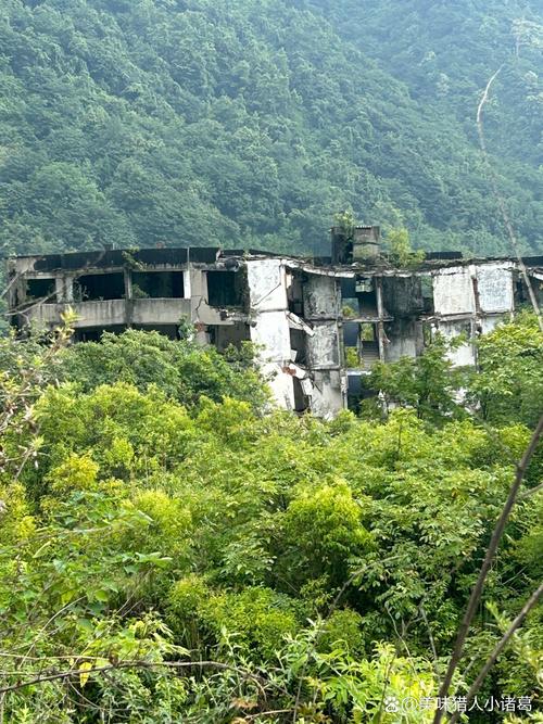 德阳地震了/德阳地震2021年-第6张图片 德阳地震了/德阳地震2021年-第6张图片