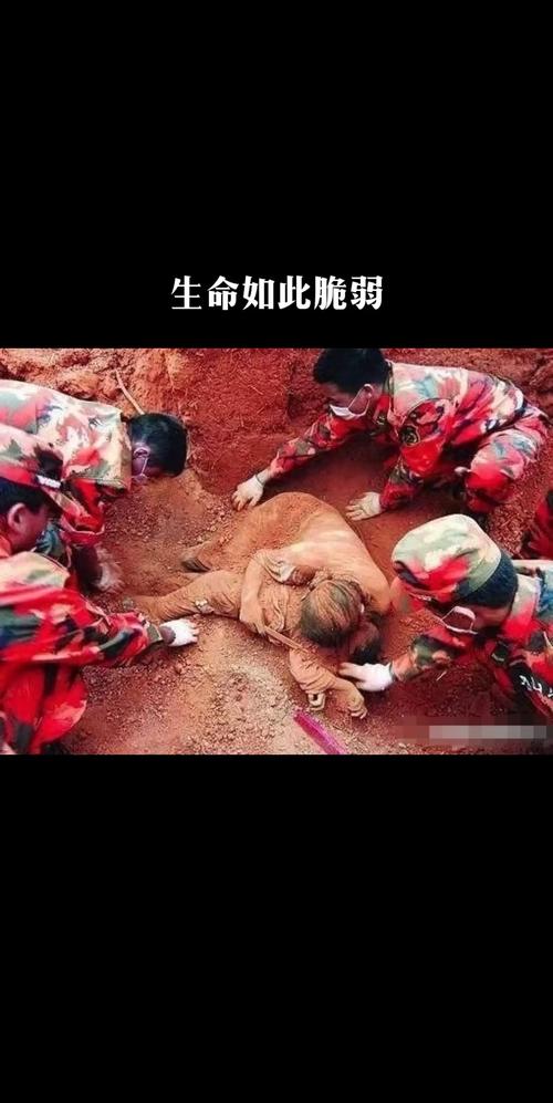 桑枣中学地震-桑枣中学地震给我们启示-第2张图片 桑枣中学地震-桑枣中学地震给我们启示-第2张图片